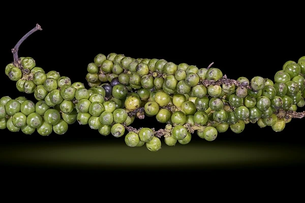 Black Pepper benefits