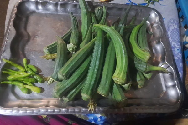 Bhaandi benefits