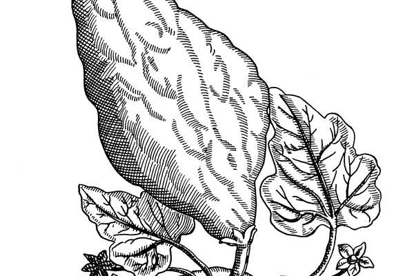 Ervaaru benefits
