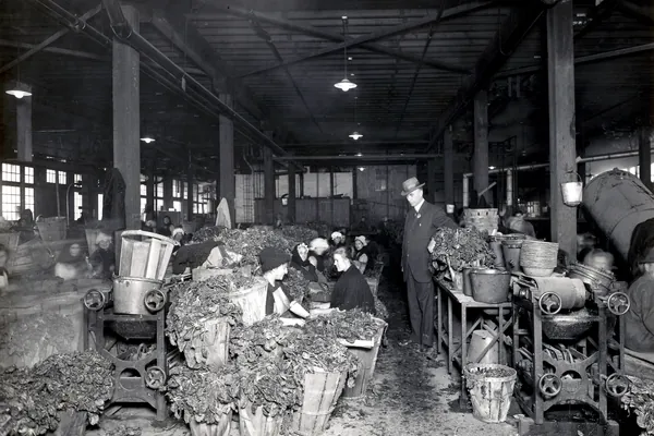 Paalankikaa benefits